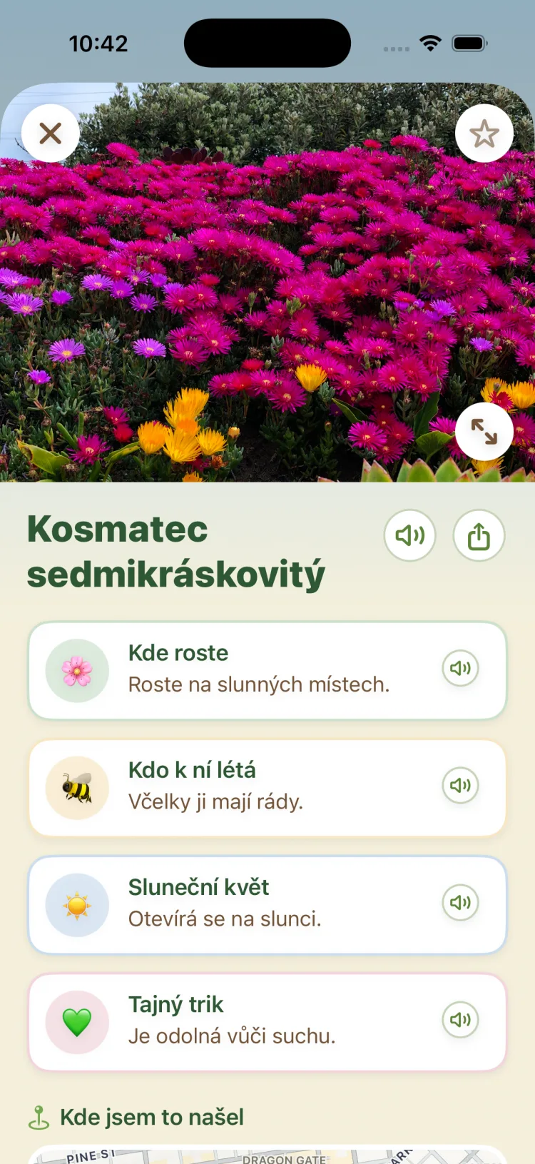 Detail objevu s fakty pro děti